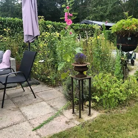Chalet Woudlodge Met Serre En Evt Prive Hottub Bergen