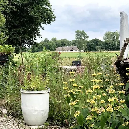 Woudlodge Met Serre En Evt Prive Hottub Bergen