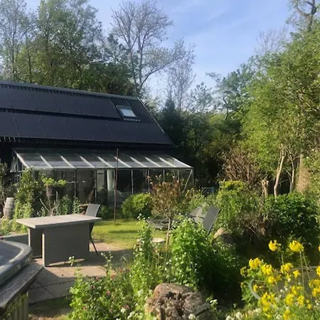 Chalet Woudlodge Met Serre En Evt Prive Hottub Bergen