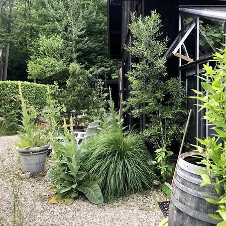 Woudlodge Met Serre En Evt Prive Hottub Chalet *